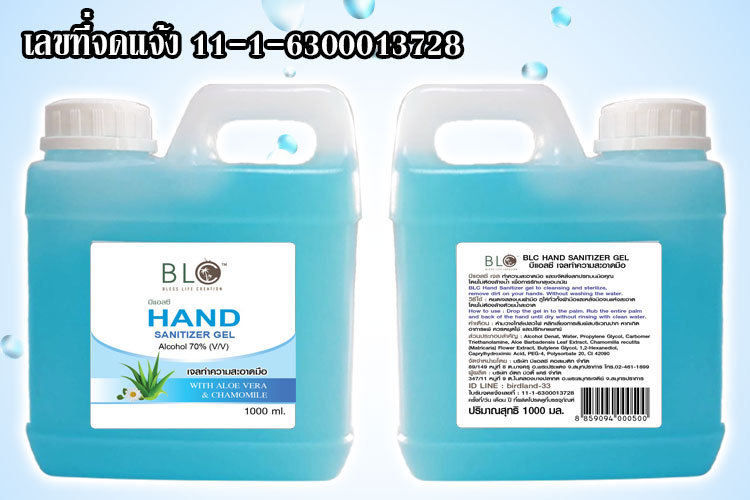 handgel13